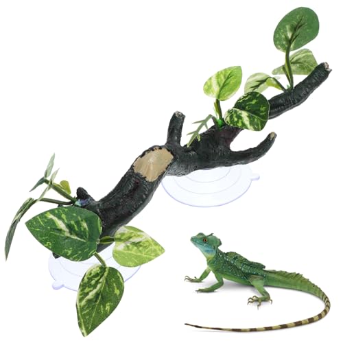 Toyvian Natürliche Reptilien Eckzweige aus Robustem Harz Naturgetreu Geformt für Kletterspaß von Chamäleons Bartagamen und Schlangen Dekorative Terrarienpflanzen für Vielseitige Toyvian Natürliche Reptilien Eckzweige aus Robustem Harz Naturgetreu Geformt für Kletterspaß von Chamäleons Bartagamen und Schlangen Dekorative Terrarienpflanzen für Vielseitige von Toyvian