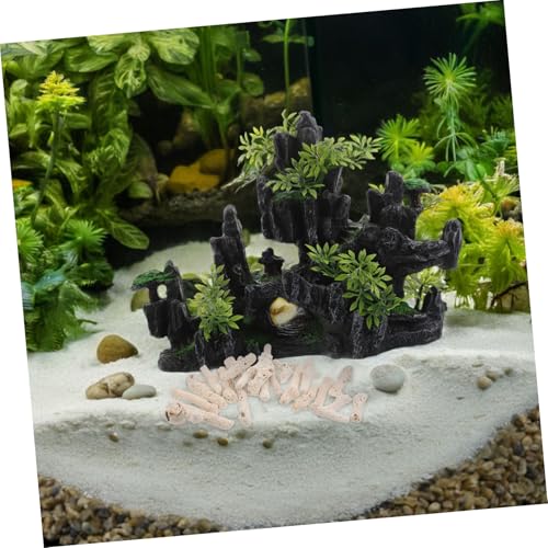 Toyvian Natürlicher Korallensand Aquarium-filtermaterial Ph-wert Regulierend Langlebig für Sauberes Wasser und Dekorative Aquarienlandschaften Geeignet für Fischbecken und Toyvian Natürlicher Korallensand Aquarium-filtermaterial Ph-wert Regulierend Langlebig für Sauberes Wasser und Dekorative Aquarienlandschaften Geeignet für Fischbecken und von Toyvian