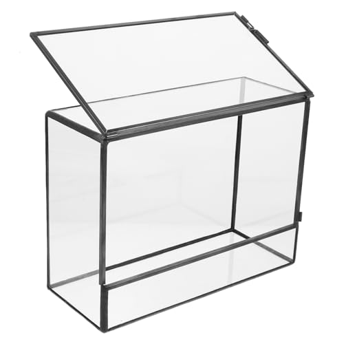 Toyvian Öko Desktop Landschaftstank Desktop Ständer Pflanzenhalter Mikro Landschaftsbehälter Moos Landschaftsbehälter Mikro Landschaftshalter Mikro Landschafts DIY Halter Moos von Toyvian