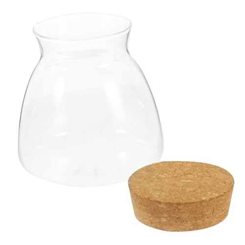 Toyvian Öko-flaschenornamente Wasser- Hydroponisches Terrarium Luftpflanzenhalter Landschaft Terrarium Wasserpflanzgefäß Anlage Geschlossenes Terrarium Aqua-Terrarium Tank Glas Toyvian Öko-flaschenornamente Wasser- Hydroponisches Terrarium Luftpflanzenhalter Landschaft Terrarium Wasserpflanzgefäß Anlage Geschlossenes Terrarium Aqua-Terrarium Tank Glas von Toyvian