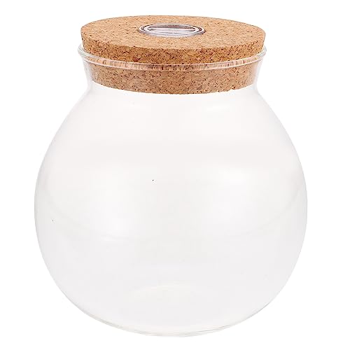 Toyvian 1stücke Terrarium Mit Beleuchtung Mikrolandschaftsgefäß Für Pflanzen Dekorativ Für Wohnräume Schlafzimmer Büro Und Cafés von Toyvian