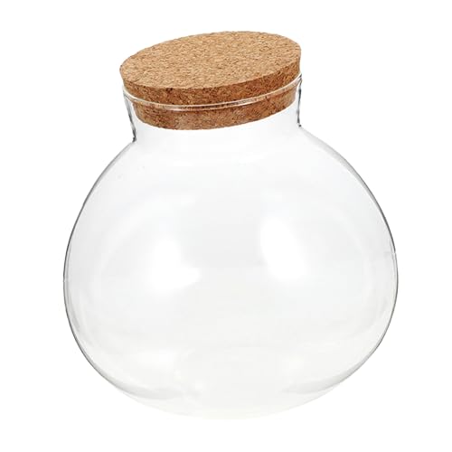 Toyvian Ökologische Mikrolandschaftsflasche Einmachglas Ökosystemflasche Terrarium mit Deckel Landschaft Flasche geschlossenes Terrarienglas Terrarium-Displayglas Moosglas Kork Transparent von Toyvian
