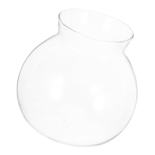 Toyvian Ökologische Mikrolandschaftsflasche Empfindlich Klein Fisch Tank Anlage Desktop Mini Tischplatte Tischaquarium Pflanzen Drinnen Transparent Glas Mit Hohem Borosilikatgehalt von Toyvian