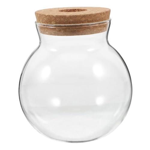 Toyvian Ökologische Mikrolandschaftsflasche Fischschale Mit Deckel Terrarienflasche Vermehrungskübel Glas Fischglasvase Terrarienglas Füllstoffe Für Vasendekorationen Transparent Holz von Toyvian