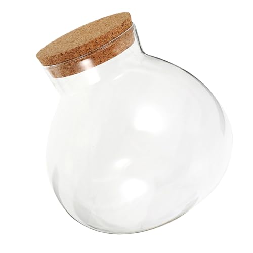 Toyvian Ökologische Mikrolandschaftsflasche Klare Verschlossene Dose Moos-landschaftsbauflasche Ökologische Flasche Selber Machen Luftpflanzen Terrarium Ökosystemflasche Glas Transparent von Toyvian