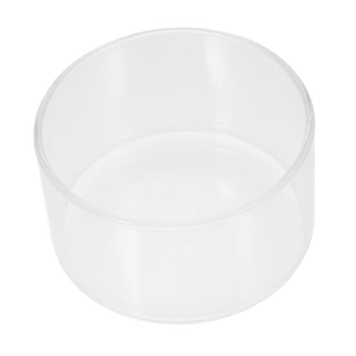 Toyvian Ökologische Mikrolandschaftsflasche Pflanzen Farn Moos klein Terrarien drinnen dekorativer Mikro-Landschaftsbehälter Micro-Landschafts-DIY-Flasche Glas Transparent Toyvian Ökologische Mikrolandschaftsflasche Pflanzen Farn Moos klein Terrarien drinnen dekorativer Mikro-Landschaftsbehälter Micro-Landschafts-DIY-Flasche Glas Transparent von Toyvian