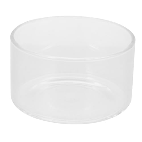 Toyvian Ökologische Mikrolandschaftsflasche klein drinnen Pflanzterrarien Pflanzenterrarium Farn Pflanzenbehälter selber Machen Moos ökologische Flasche Glas Transparent Toyvian Ökologische Mikrolandschaftsflasche klein drinnen Pflanzterrarien Pflanzenterrarium Farn Pflanzenbehälter selber Machen Moos ökologische Flasche Glas Transparent von Toyvian
