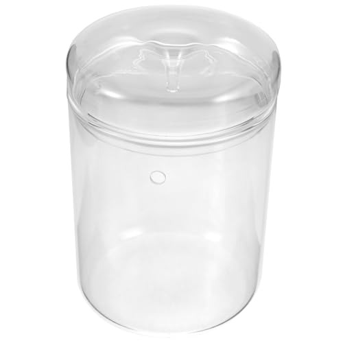 Toyvian Pflanzenterrarium Aus Glas Glasterrarium Für Sukkulenten Moosterrarium Für DIY-Landschaft Terrariumglas Als Display-Container Für Tischdeko Kleines Terrarium Für Fensterbänke Toyvian Pflanzenterrarium Aus Glas Glasterrarium Für Sukkulenten Moosterrarium Für DIY-Landschaft Terrariumglas Als Display-Container Für Tischdeko Kleines Terrarium Für Fensterbänke von Toyvian