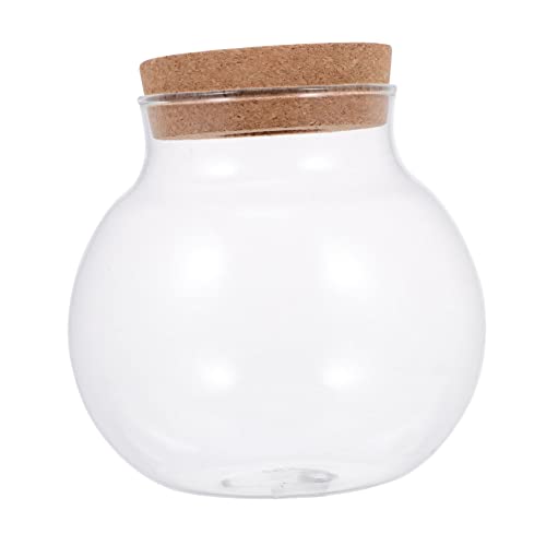 Toyvian DIY Terrarium Glasbehälter Für Mikro-Landschaft Kreatives Ökosystem Im Glas Für Gartenliebhaber Wohnraum-Dekoration Geeignet Für Pflanzen Moos Und Blumengestaltung von Toyvian