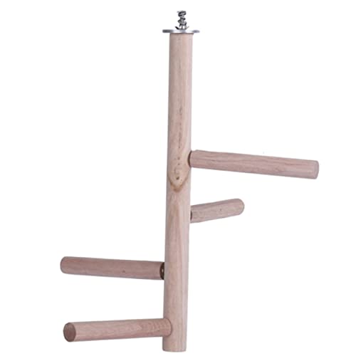 Toyvian Papagei Kletterspielzeug Papageienspielzeug Papageienstange Vogelsittiche Papageienspielständer Klettern Vogel Spielstand Papageienbarsch Vogelstange Papageistand hölzern Toyvian Papagei Kletterspielzeug Papageienspielzeug Papageienstange Vogelsittiche Papageienspielständer Klettern Vogel Spielstand Papageienbarsch Vogelstange Papageistand hölzern von Toyvian