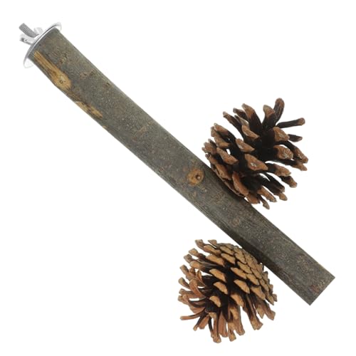 Toyvian Papageienspielzeug Holz mit Kiefernzapfen Stabiles Kau und Stehspielzeug für Kleine Vögel Papageien und Wellensittiche Vogelkäfig Zubehör Fördert Balance und Beschäftigung Toyvian Papageienspielzeug Holz mit Kiefernzapfen Stabiles Kau und Stehspielzeug für Kleine Vögel Papageien und Wellensittiche Vogelkäfig Zubehör Fördert Balance und Beschäftigung von Toyvian