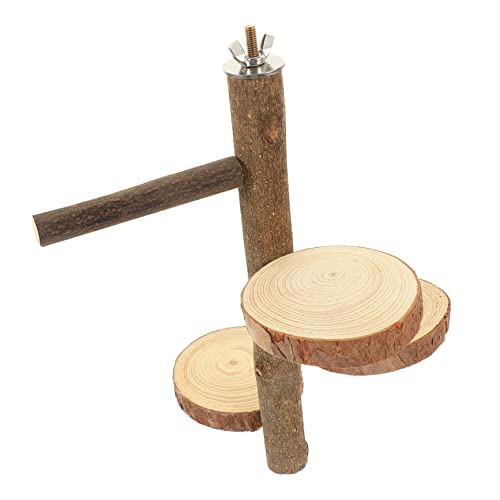 Toyvian Papageienständer aus Natürlichem Stabiles Langlebiges für Kleine Vögel Sicheres Klettern und Geeignet für Papageien und Kleine Haustiere Praktische Sprungplattform Toyvian Papageienständer aus Natürlichem Stabiles Langlebiges für Kleine Vögel Sicheres Klettern und Geeignet für Papageien und Kleine Haustiere Praktische Sprungplattform von Toyvian