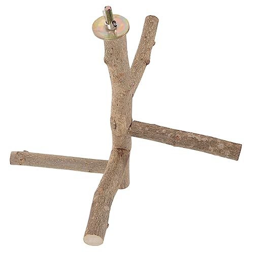 Toyvian Pfahl aus Pfefferholz Stand Vogelstangen Barsch vogelkäfig zubehör vogelzubehör für käfig Vogelkäfig Holzstange Zubehör für Sittichkäfige Vogelpapagei Steht Pfeffer Holz Toyvian Pfahl aus Pfefferholz Stand Vogelstangen Barsch vogelkäfig zubehör vogelzubehör für käfig Vogelkäfig Holzstange Zubehör für Sittichkäfige Vogelpapagei Steht Pfeffer Holz von Toyvian