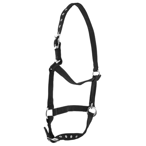 Toyvian Pferde Halfterhalter Mit Verstellbarem Gepolstertem Nylonseil Bruchfeste Leine Für Pferde Und Ziegen Langlebig Und Komfortabel Für Hobby Pferdetraining Und Bodenarbeit Toyvian Pferde Halfterhalter Mit Verstellbarem Gepolstertem Nylonseil Bruchfeste Leine Für Pferde Und Ziegen Langlebig Und Komfortabel Für Hobby Pferdetraining Und Bodenarbeit von Toyvian