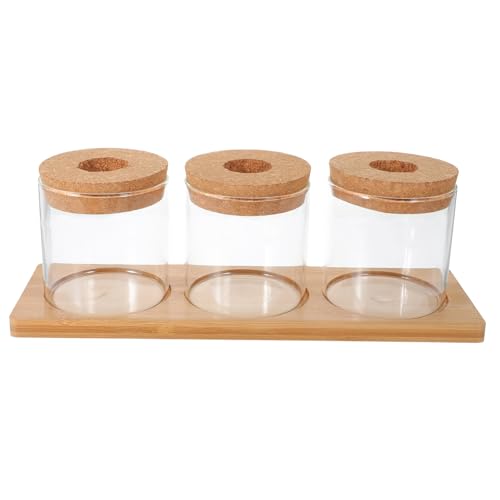 Toyvian Pflanzenterrarium Aus Glas Hydrokultur Mit Ständer Für Tischdekoration Glaspflanzgefäß Für Zimmerpflanzen Toyvian Pflanzenterrarium Aus Glas Hydrokultur Mit Ständer Für Tischdekoration Glaspflanzgefäß Für Zimmerpflanzen von Toyvian