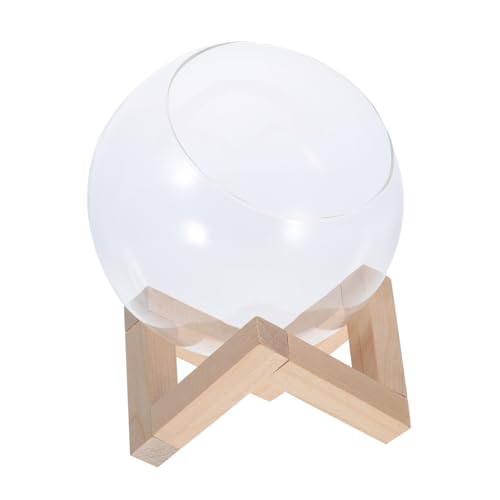 Toyvian Pflanzenterrarium Zimmerpflanzen Mikro-landschaftspflanzer Hamsterbadewanne Vermehrungsgefäße Glasanlage Mikro Glasvase Glassockel Für Pflanzen Kugelglas Terrarien Holz Transparent von Toyvian