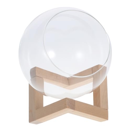 Toyvian Pflanzenterrarium Zimmerpflanzen Vermehrungsvasen Für Pflanzen Sandbad Für Hamster Pflanzendekorationen Kuppel Hamsterbad Terrarienschale Mikro-landschaftspflanzer Glas Transparent von Toyvian