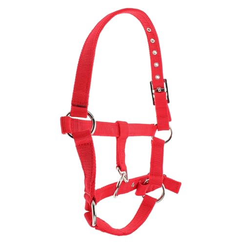 Toyvian Reittraining Für Kinnriemenabdeckung Abbrechbares Pferdehalfter Pferdekostüm Pferdeleine Wadenhalfter Abreißbares Halfter Schafhalter Gepolstertes Pferdehalfter Nylon Rot von Toyvian