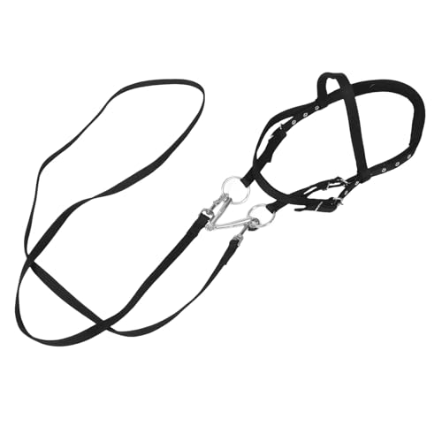 Toyvian Reitzügel Seilpferdehalfter Zäume Für Pferde Seilhalfter Für Pferde Halfter Pferde Vieh Seilhalfter Pferdeseil Pferdestallbedarf Pferdehalfter Nylon Schwarz Toyvian Reitzügel Seilpferdehalfter Zäume Für Pferde Seilhalfter Für Pferde Halfter Pferde Vieh Seilhalfter Pferdeseil Pferdestallbedarf Pferdehalfter Nylon Schwarz von Toyvian