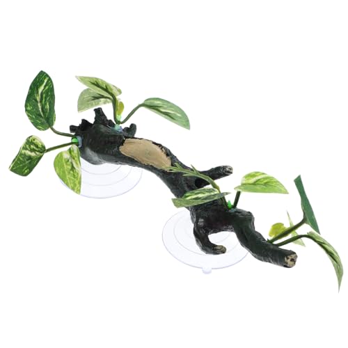 Toyvian Reptilien Eckzweig für Bartagamen und Schlangen Kletterzweig für Terrarium Dekoration Langlebig Pflanzen Installieren Geeignet Toyvian Reptilien Eckzweig für Bartagamen und Schlangen Kletterzweig für Terrarium Dekoration Langlebig Pflanzen Installieren Geeignet von Toyvian