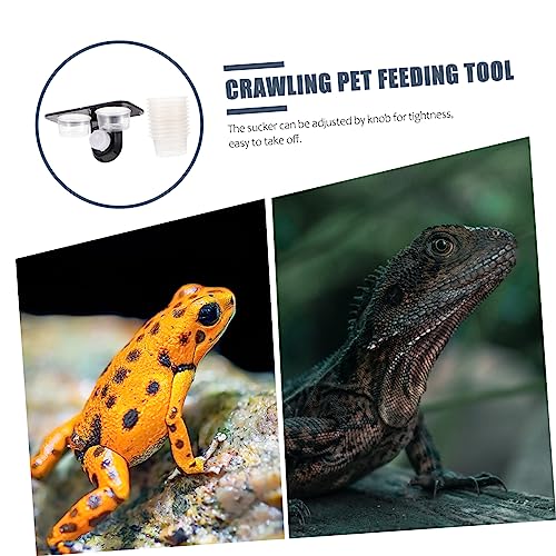 Toyvian Reptilien Futter und Wassernapf Teilig mit Saugnapf Großer Kapazität Stabiler Kunststoff Futter und Trinkschale für Terrarien Geeignet für Echsen Schildkröten und Andere Reptilien von Toyvian