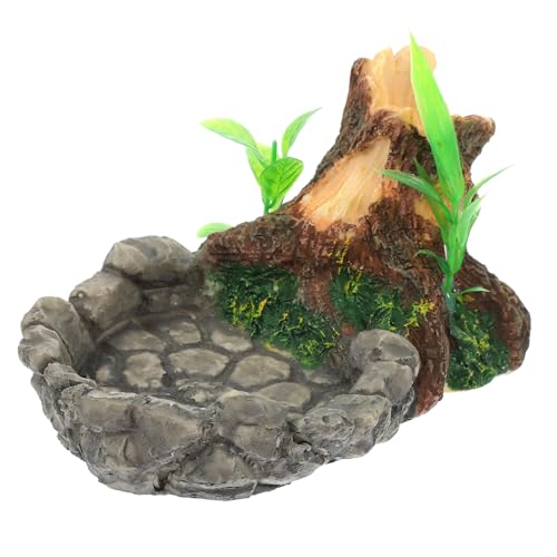 Toyvian Reptilien Futter und Wasserschale Langlebige und Korrosionsbeständige Fütterungsstation für Kleine Reptilien für Schildkröten Eidechsen und Andere Haustiere Sichere Toyvian Reptilien Futter und Wasserschale Langlebige und Korrosionsbeständige Fütterungsstation für Kleine Reptilien für Schildkröten Eidechsen und Andere Haustiere Sichere von Toyvian