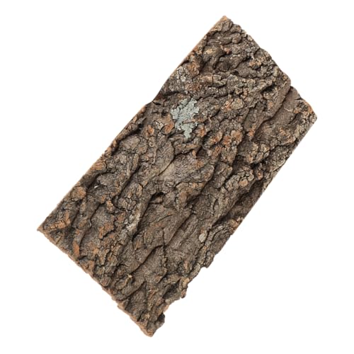 Toyvian Reptilien Terrarium Hintergrunddekoration aus Kork Wiederverwendbar Zuschneidbar für Schildkröten und Eidechsen Dekorative für Aquarien und Terrarien Toyvian Reptilien Terrarium Hintergrunddekoration aus Kork Wiederverwendbar Zuschneidbar für Schildkröten und Eidechsen Dekorative für Aquarien und Terrarien von Toyvian