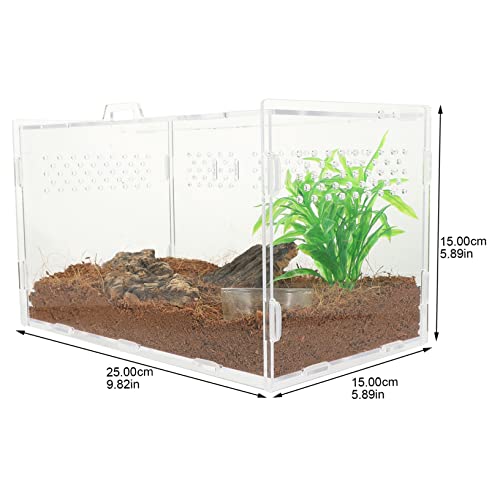 Toyvian Reptilien Terrarium aus Hochwertigem Transparentes Langlebiges Gehege mit Belüftungslöchern Geeignet für Schlangen Springspinnen Geckos Krabben Frösche und Kleine Reptilien mit von Toyvian
