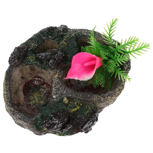 Toyvian Reptilien Wassernapf aus Robustem Harz Futterschale für Schildkröten und Echsen Bruchfestes Terrarium Zubehör Langlebiger Futter und Wasserspender für Reptilienhaltung Toyvian Reptilien Wassernapf aus Robustem Harz Futterschale für Schildkröten und Echsen Bruchfestes Terrarium Zubehör Langlebiger Futter und Wasserspender für Reptilienhaltung von Toyvian