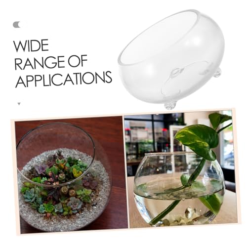 Toyvian Runde DIY Fischschale und Hydroponischer Pflanzentopf Vielseitige Dekorative Glasvase für Grünpflanzen und Sukkulenten Langlebiges Aquarium für Wohn und Bürodekoration von Toyvian