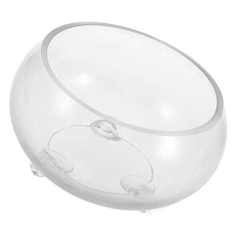 Toyvian Runde Glasfischschale für Betta Fische und Hydroponische Pflanzen Kreative DIY Terrarium Vase Dekorativer Tischaufsatz für Zuhause Büro und Hochzeiten Toyvian Runde Glasfischschale für Betta Fische und Hydroponische Pflanzen Kreative DIY Terrarium Vase Dekorativer Tischaufsatz für Zuhause Büro und Hochzeiten von Toyvian