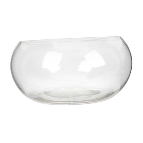 Toyvian Runder Glasfischbehälter Transparentes Aquarium für Hydroponische Pflanzen Fische Dekorative Tischvase für Büro Zuhause Durchmesser für Aquarienliebhaber von Toyvian