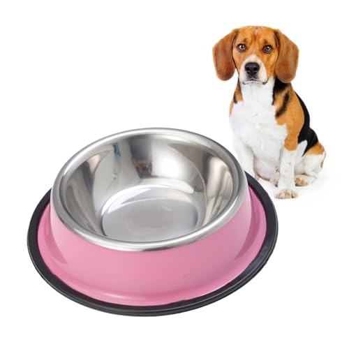 Toyvian Rutschfester Edelstahl Napf für Hunde und Katzen Rostfrei Geruchlos Langlebig mit Rutschfester Kunststoffbasis für Welpen und Kleine Haustiere Futternapf und Wassernapf Toyvian Rutschfester Edelstahl Napf für Hunde und Katzen Rostfrei Geruchlos Langlebig mit Rutschfester Kunststoffbasis für Welpen und Kleine Haustiere Futternapf und Wassernapf von Toyvian