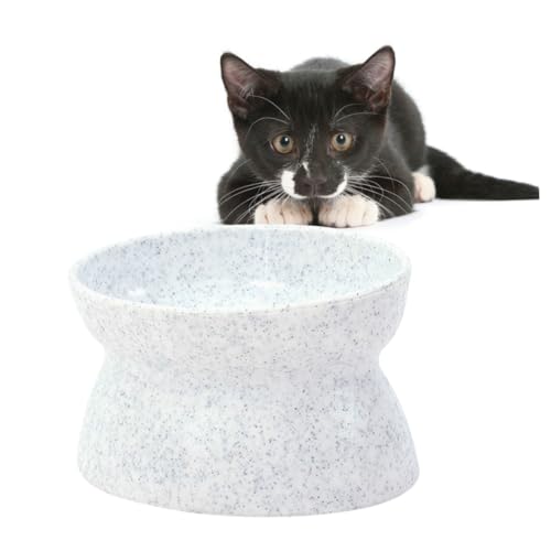 Toyvian Rutschfester Futternapf Für Katzen Und Erhöhter Mit Doppelter Nutzung Material Zu Reinigen Langlebig Und Gesundheitlich Unbedenklich von Toyvian