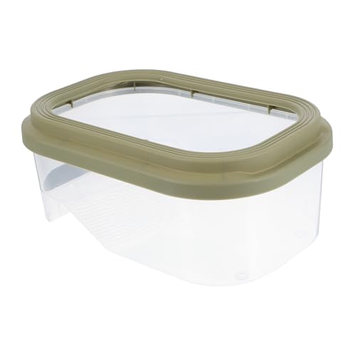 Toyvian Schildkrötenpanzer Mit Trocknungstisch Schildkröten-Aquarium Kleines Schildkrötenbecken Lebensraum Der Schildkröte Kleiner Teich Für Schildkröten Abs Green Toyvian Schildkrötenpanzer Mit Trocknungstisch Schildkröten-Aquarium Kleines Schildkrötenbecken Lebensraum Der Schildkröte Kleiner Teich Für Schildkröten Abs Green von Toyvian