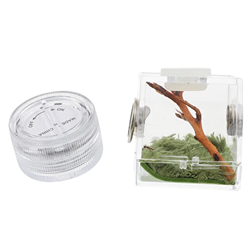 Toyvian Spinnenbehälter mit Hochtransparente Aufbewahrungsbox für Sprungspinnen und Insekten Teiliges mit Praktischen Futteröffnungen Toyvian Spinnenbehälter mit Hochtransparente Aufbewahrungsbox für Sprungspinnen und Insekten Teiliges mit Praktischen Futteröffnungen von Toyvian