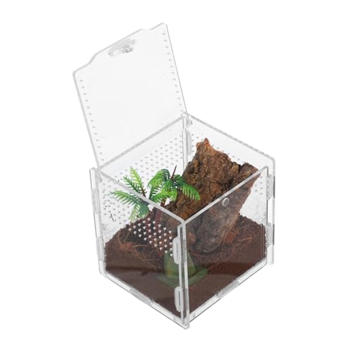 Toyvian Spinnenbox Für Haustiere Terrarium Schneckengehege Vogelspinnengehege Zubehör Spinnengehege Zubehör Lebensraum Für Schildkröten Eidechsenkäfig Tank Für Schildkröten von Toyvian