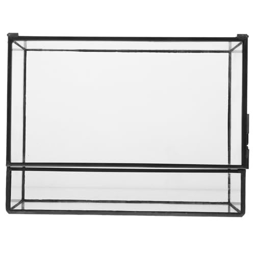 Toyvian Terrarium Dekorativer Pflanzer mit Design für Landschaften Gefäß für Pflanzen Moos und Arrangements Toyvian Terrarium Dekorativer Pflanzer mit Design für Landschaften Gefäß für Pflanzen Moos und Arrangements von Toyvian