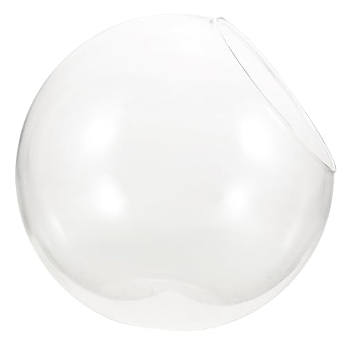 Toyvian Terrarium Hochtransparentes DIY Moos Flasche für Desktop Mikrolandschaften Design für Wohnzimmer Schlafzimmer und Badezimmer von Toyvian
