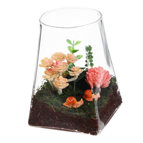 Toyvian Terrarium Micro Landschaft Pflanzgefäß Transparentes Gefäß für Dekoration Vielseitige Glasvase für Moos und Pflanzen Wohnzimmer Tischdeko von Toyvian