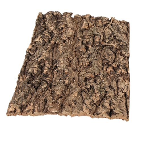 Toyvian Natural Reptile Tree Bark Dekoration Für Terrarien Kletter Und Basking-plattform Für Eidechsen Und Schildkröten Leicht Zu Reinigen Fördert Natürliches Verhalten von Toyvian