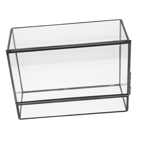 Toyvian Terrarium für Pflanzen Transparentes Handgefertigtes Landschafts Ökosystem Mini Moos Landschaftsbehälter Dekorativer Ökologischer Desktop Pflanzenhalter für Wohnzimmer von Toyvian