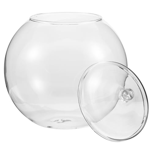 Toyvian Terrarium mit Moos Pflanzflasche für DIY Mikrolandschaften für Tischdekoration im Wohnzimmer und Fensterbank Toyvian Terrarium mit Moos Pflanzflasche für DIY Mikrolandschaften für Tischdekoration im Wohnzimmer und Fensterbank von Toyvian