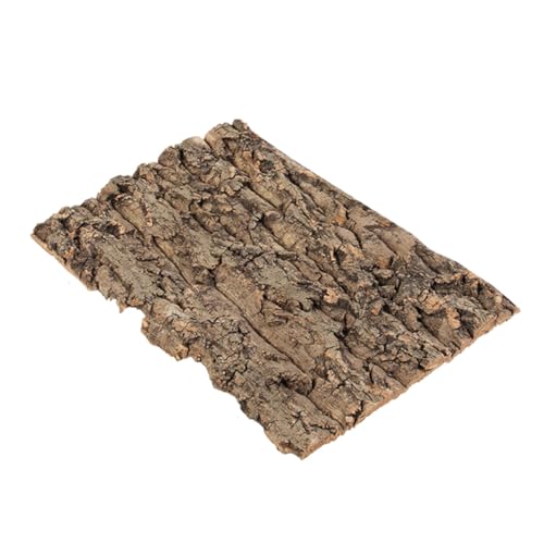 Toyvian Terrariumrinde Reptilien Hintergrund Für Terrarien Korkrinde Reptilien Reptilien Hintergrundbrett Aquarium Zubehör Dekorationen Aquarium Dekoration Baumrinde Toyvian Terrariumrinde Reptilien Hintergrund Für Terrarien Korkrinde Reptilien Reptilien Hintergrundbrett Aquarium Zubehör Dekorationen Aquarium Dekoration Baumrinde von Toyvian