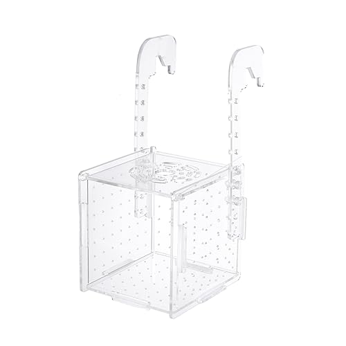 Toyvian Transparente Fischzucht Isolationsbox mit Haken Aufzuchtbecken für Lebendgebärende Fische Schutz vor Adultangriffen Leicht Befestigbar zur Babyfisch Aufzucht im Aquarium Toyvian Transparente Fischzucht Isolationsbox mit Haken Aufzuchtbecken für Lebendgebärende Fische Schutz vor Adultangriffen Leicht Befestigbar zur Babyfisch Aufzucht im Aquarium von Toyvian