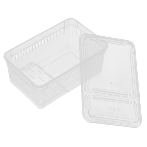 Toyvian Transparente Reptilien Aufzuchtbox Robuster Kunststoff Terrarium Behälter mit Belüftungslöchern für Schildkröten Eidechsen Spinnen Tragbarer Lebensraum und Transportbox für Toyvian Transparente Reptilien Aufzuchtbox Robuster Kunststoff Terrarium Behälter mit Belüftungslöchern für Schildkröten Eidechsen Spinnen Tragbarer Lebensraum und Transportbox für von Toyvian