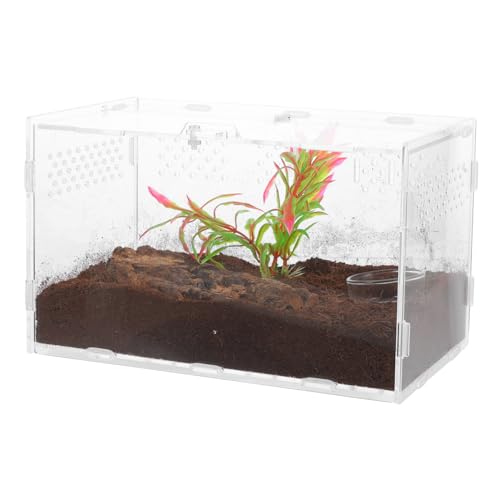 Toyvian Transparenter Reptilien Terrarium aus Langlebigem Wetterbeständig und Hochtemperaturresistent Geeignet für Echsen Schlangen Frösche Spinnen Skorpione und Kleine Reptilien Toyvian Transparenter Reptilien Terrarium aus Langlebigem Wetterbeständig und Hochtemperaturresistent Geeignet für Echsen Schlangen Frösche Spinnen Skorpione und Kleine Reptilien von Toyvian