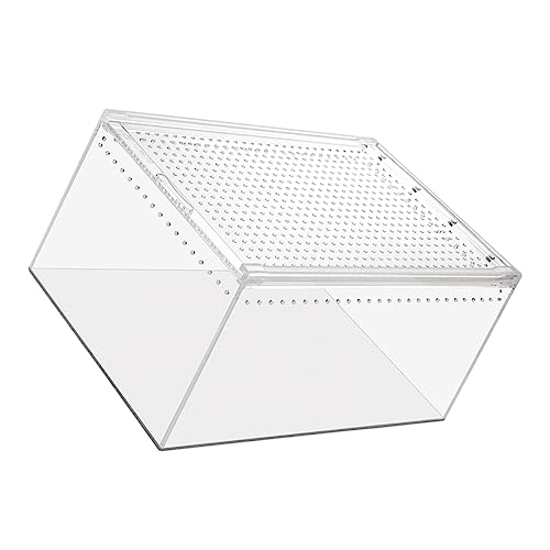 Toyvian Transparenter Reptilienkäfig Multifunktions Haustierbehälter für Schlangen Geckos Spinnen und Wetterbeständig zu Reinigen Toyvian Transparenter Reptilienkäfig Multifunktions Haustierbehälter für Schlangen Geckos Spinnen und Wetterbeständig zu Reinigen von Toyvian