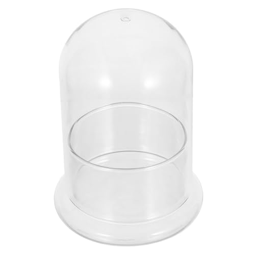 Toyvian Transparentes Glas Terrarium Höhe Geschlossenes Hydroponik Ökosystem für Moos und Kleine Pflanzen Stilvolle Landschaftsbau Deko für Schreibtisch und Innenräume von Toyvian