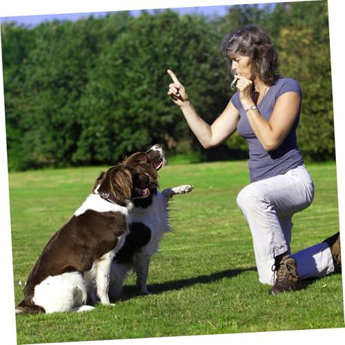 Toyvian Verstellbare Hundepfeife aus Nickelfreiem Messing Tragbarer Ultraschalltrainer mit Hörbarem Signal Silberfarbene Trainingshilfe für Kleine und Große Hunde Inklusive Schlüsselring Toyvian Verstellbare Hundepfeife aus Nickelfreiem Messing Tragbarer Ultraschalltrainer mit Hörbarem Signal Silberfarbene Trainingshilfe für Kleine und Große Hunde Inklusive Schlüsselring von Toyvian